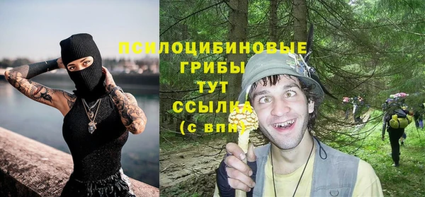 бошки Баксан