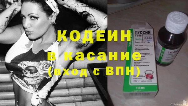 сатива Арсеньев