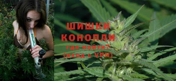 сатива Балабаново