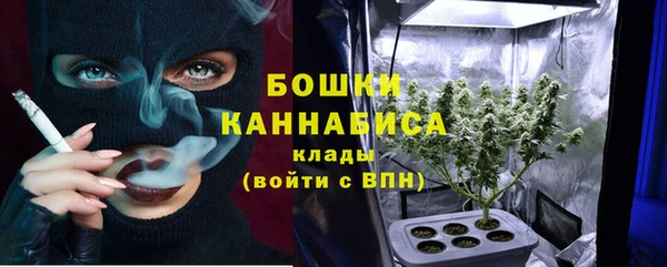 сатива Балабаново