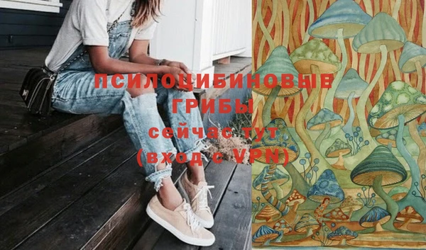 сатива Балабаново