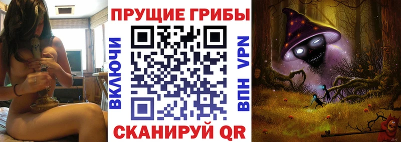 купить наркотик  Конаково  Псилоцибиновые грибы мухоморы 